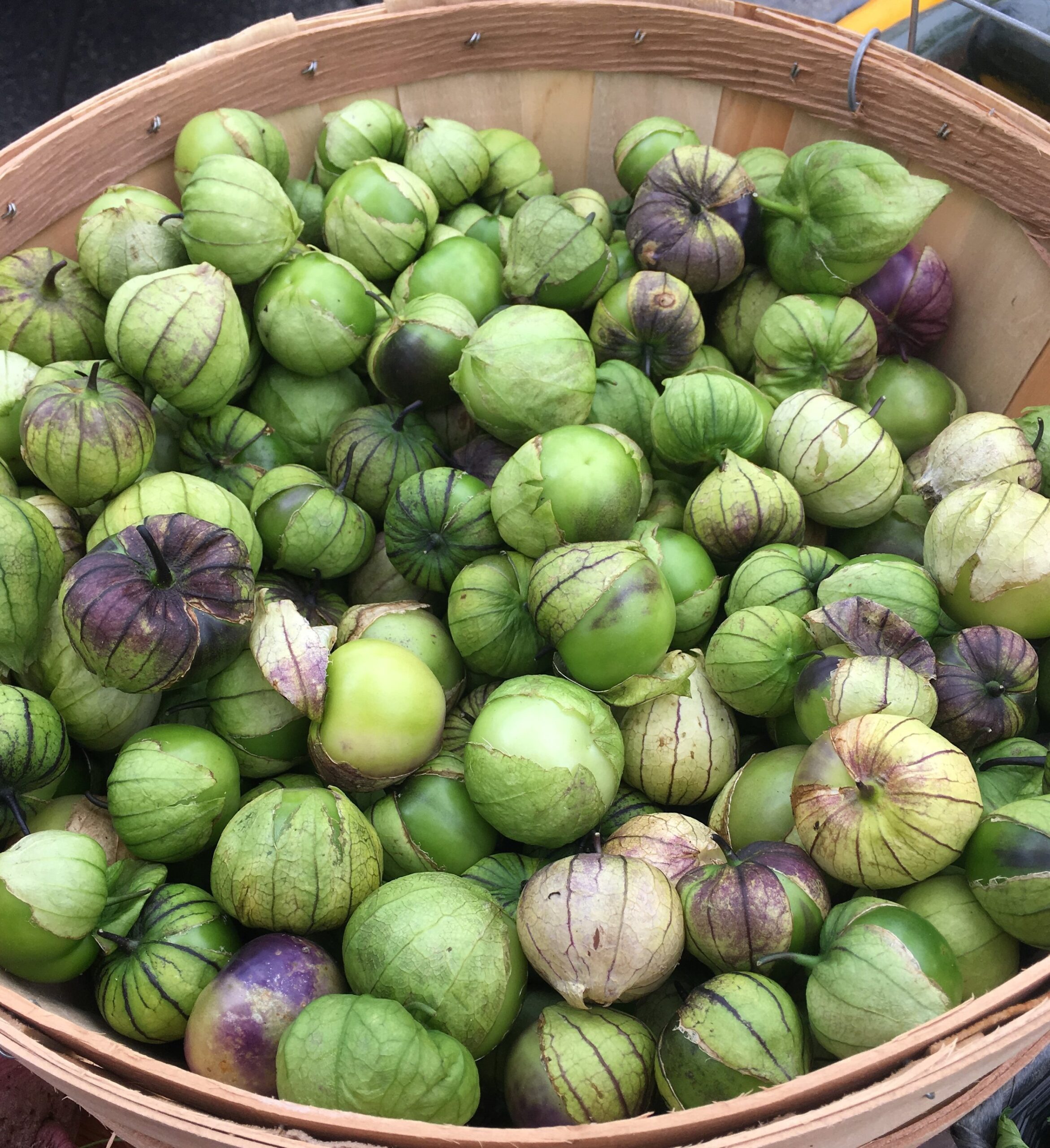 A basket filled with fresh tomatillos in various shades of green and purple, showcasing their unique striped husks and round shapes, ideal for culinary uses in sauces and salsas.
