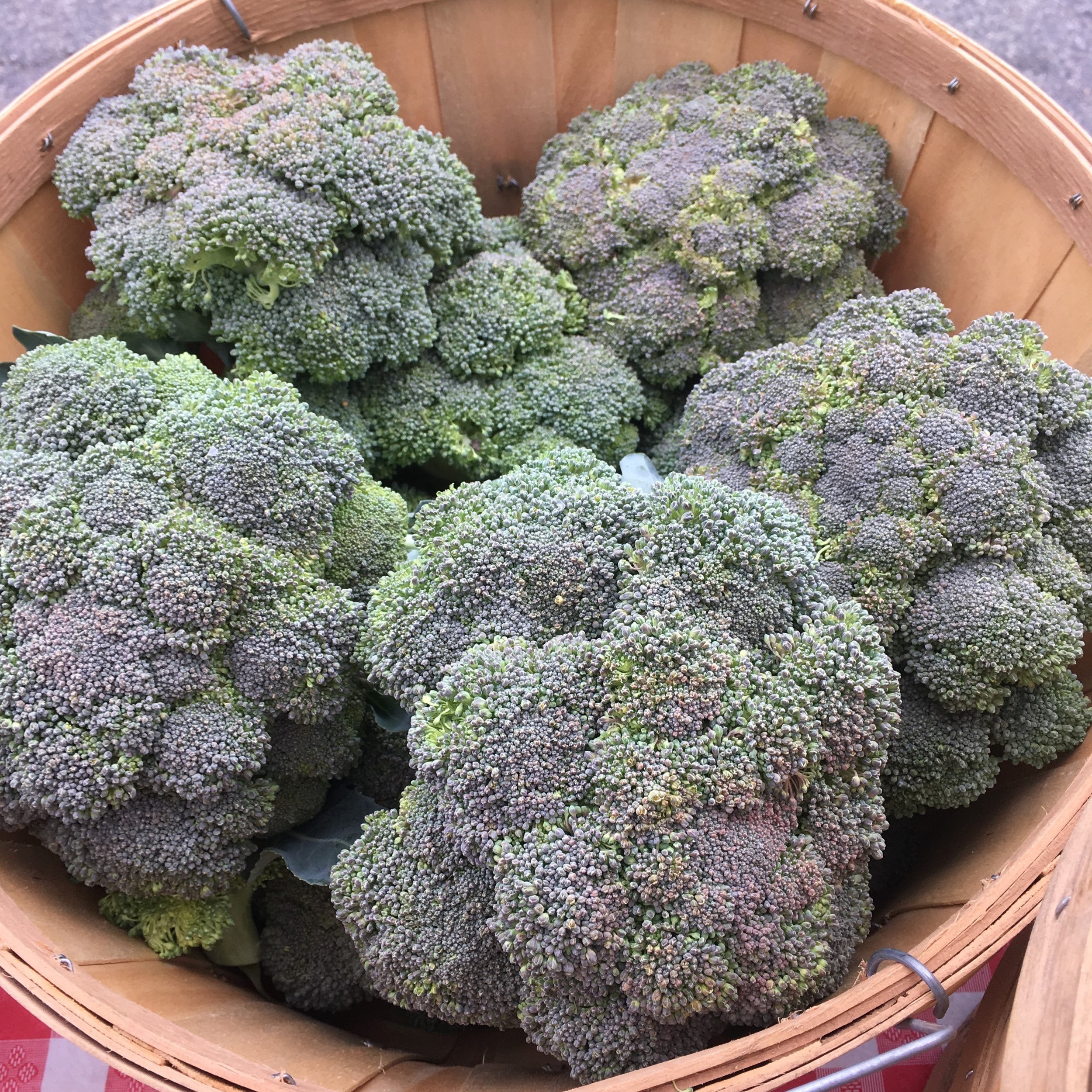 Frey+Family+Farm,+WA+-+CSA Freshly harvested broccoli florets in a wooden basket, showcasing vibrant green color and healthy texture, ideal for nutritious meals and recipes.