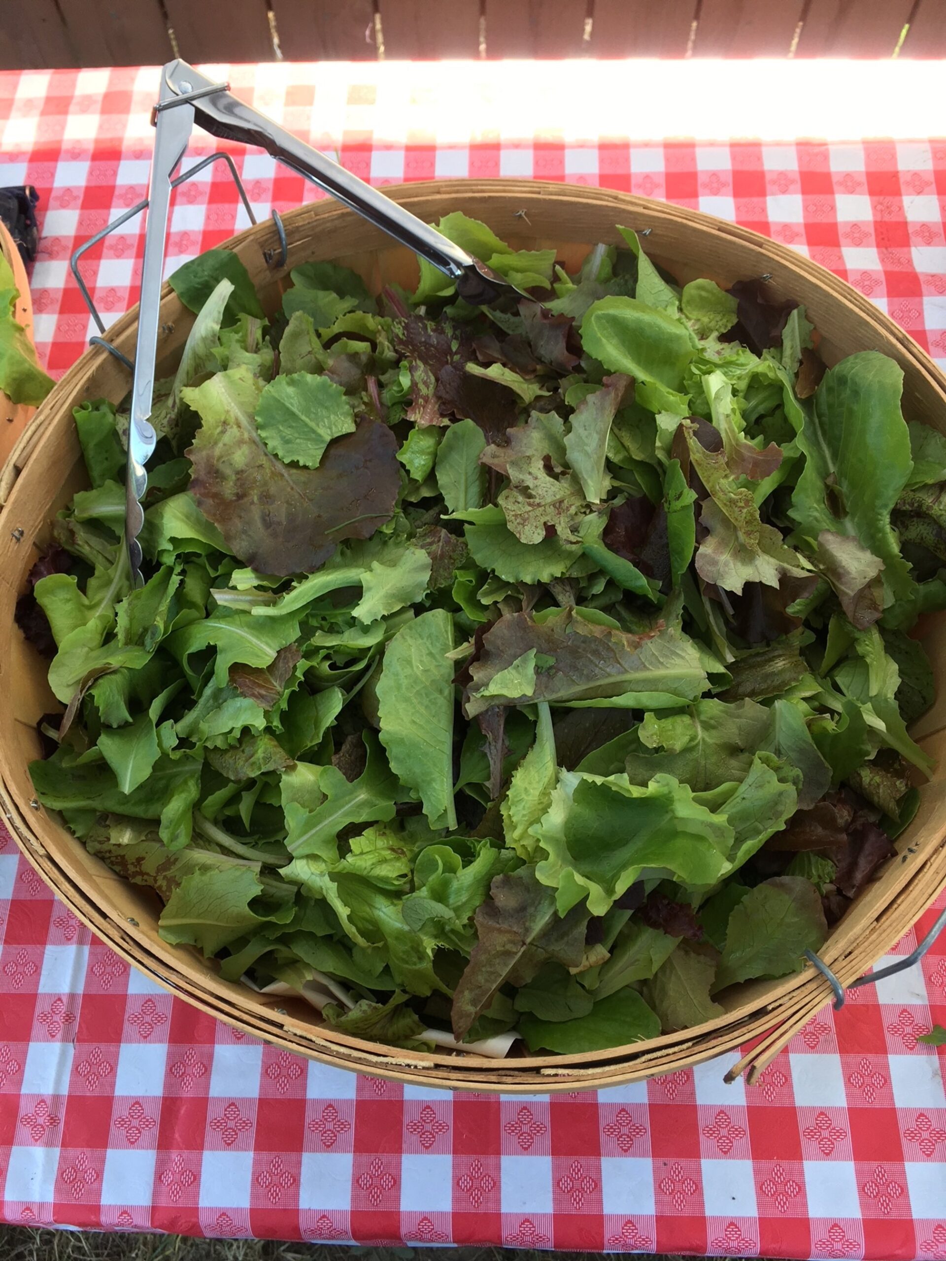 Fresh mixed greens in a wooden basket with tongs, placed on a red and white checkered tablecloth, ideal for salads and healthy meals.