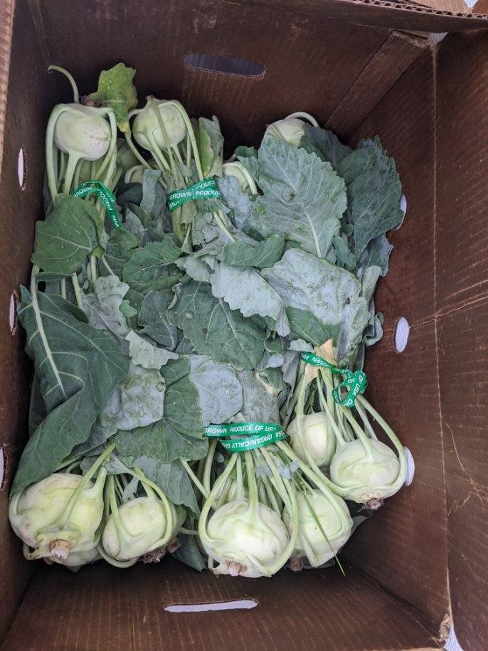 Fresh kohlrabi with green leaves packed in a cardboard box, ready for sale.