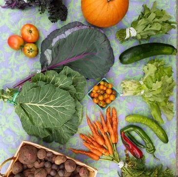 rs=w_365,h_365,cg_true A colorful assortment of fresh vegetables and fruits arranged on a patterned cloth, featuring tomatoes, a pumpkin, collard greens, cucumbers, lettuce, carrots, green beans, and chili peppers, along with a basket of potatoes.